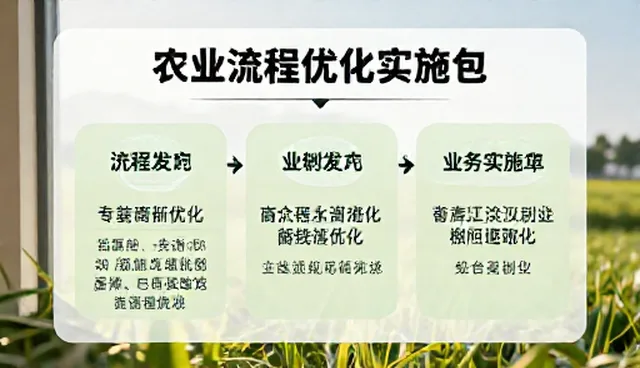 会务活动流程优化,如何提升效率与体验
